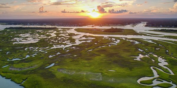 Discover the Beauty of Topsail Island, NC: Eco Boat Tours That Inspire Conservation